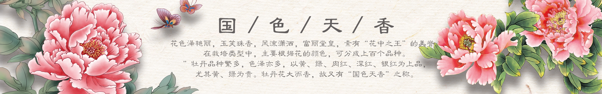 網站公告